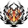 tigerpasa