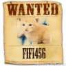 fifi456