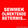 ahmet1357