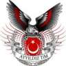 serdar176
