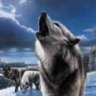 wolfemo