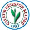 berat_reis53