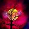 meric09