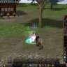saddamli33