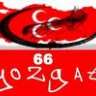 AlqolicPsko