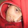 yolla41