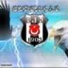 serdar1004