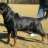 irfan2733