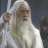 gandalfnecmi
