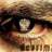 Devrim2