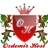 ozdemirhost