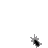 Dnqerous54