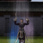 Metin2xWolfteam