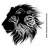 aslan0008