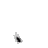 enesfoot