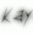 yusufkayaemir