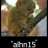 alhn15