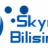 skynetbilisim