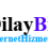 Dilaybilisimhizmeti
