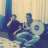 halil3850