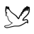 AppleTR