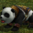 BaoBao