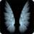 IAngelx35
