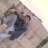 emrem1502