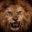 lionbeko