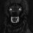 Barghest