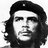 CHE20
