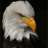 kartal1112