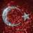 metin_oktay