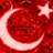 mert19977