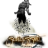 bjkbaris03