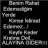 123melihcan123