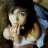 aLwish*
