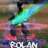 RoLaN