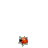 kolistoglu