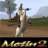 metin212354