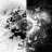 burak_9992